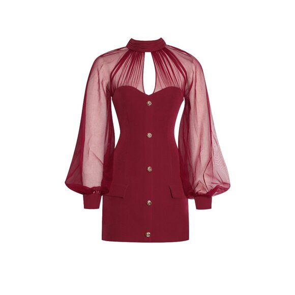 Tabi Red Mesh Sleeve Mini Dress - Picture 8 of 16